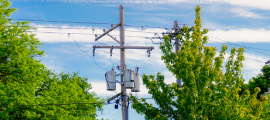 telephone poles and electric wires near trees