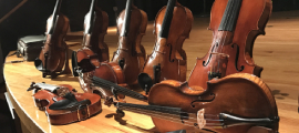 violins