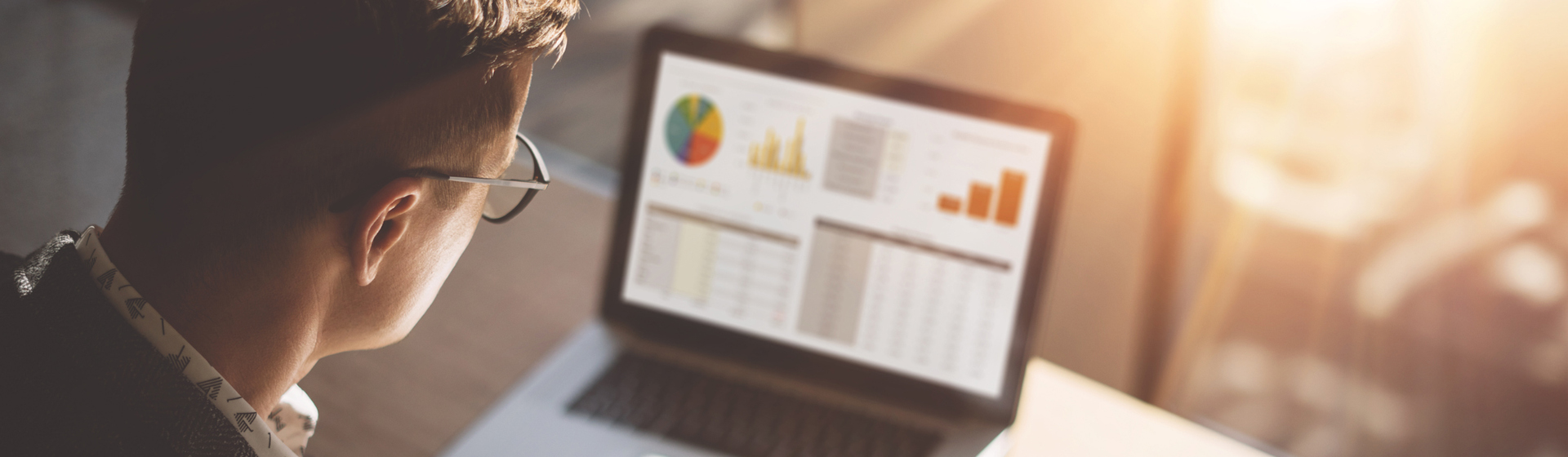 man looking at laptop screen of charts and tables