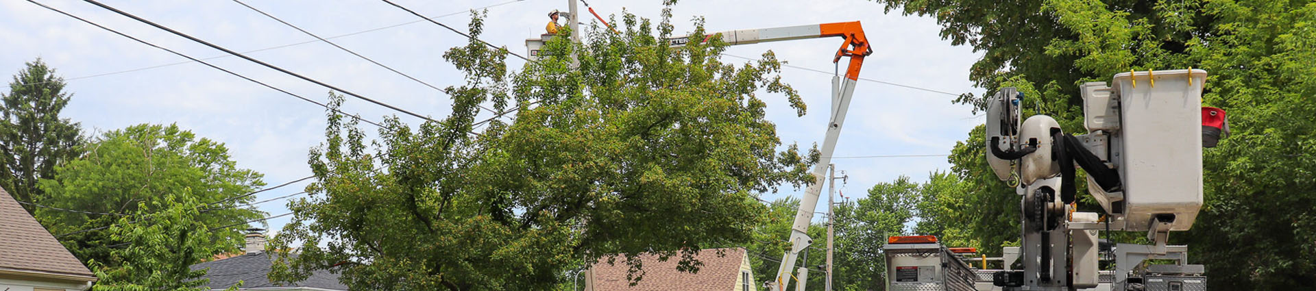 crew working on outage in bucket by tree and on ground