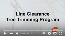 line clearance and tree trimming video