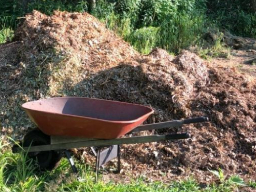 pile of wood chips next to wheelbarrow