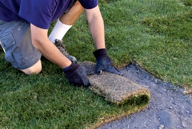 sod repair over compacted area (available for additional charge)