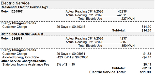 net metering 2 meter series bill example