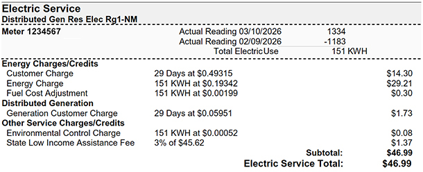 single bidirectional meter net consumption bill example
