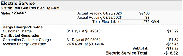 single bidirectional meter net generation bill example